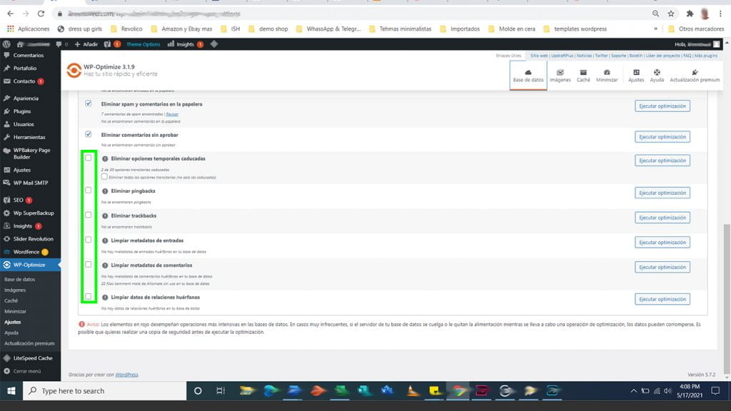 base de datos y WPOptimize